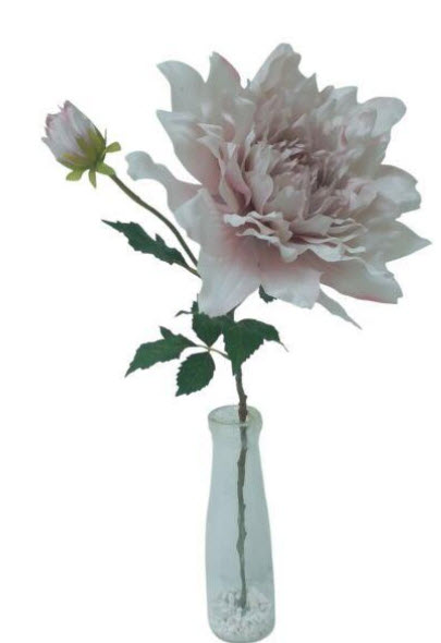 Dahlia spray x1
