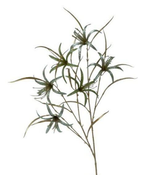 Spider lily spray x2