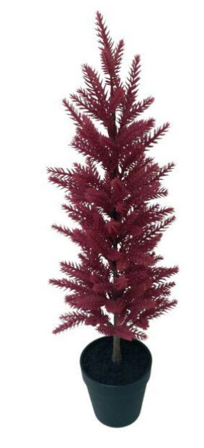 Pine tree in pot