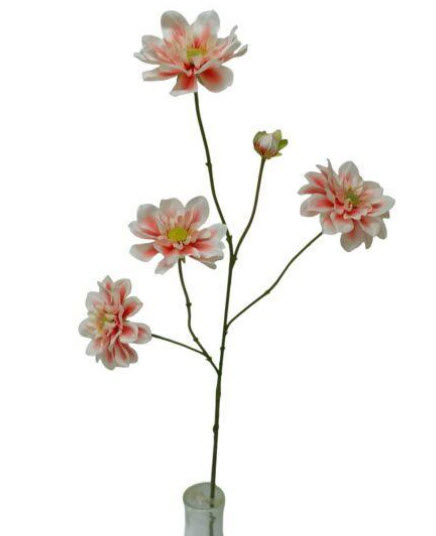 Dahlia spray x4