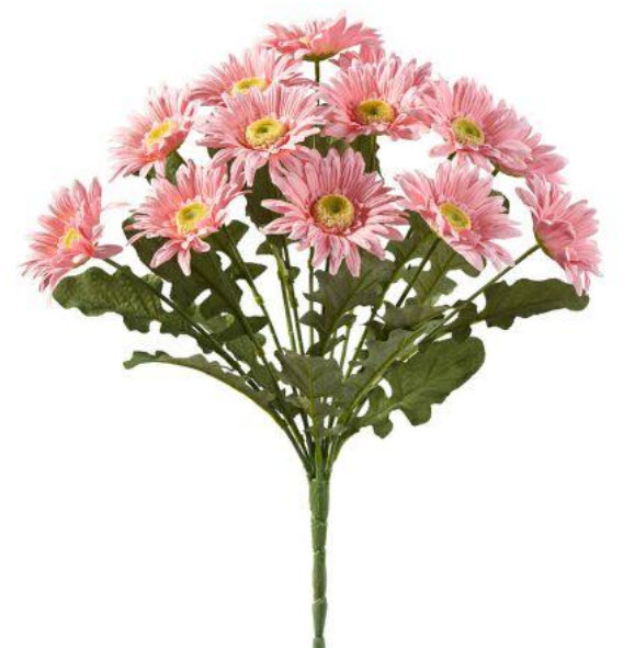 Gerbera bush x13