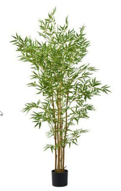 Bamboo tree