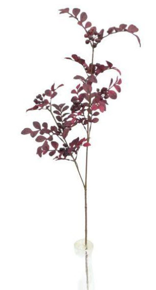 Leaf spray w/berries
