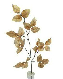 Leaf spray