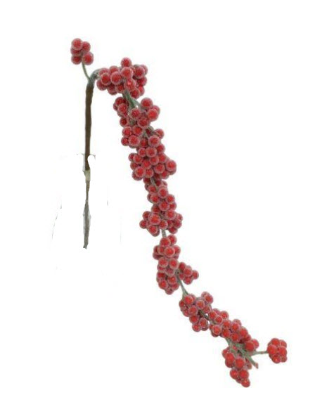 Berry spray iced