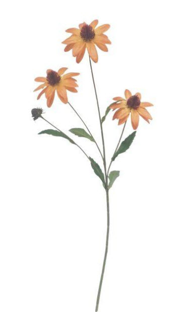 Rudbeckia spray x3