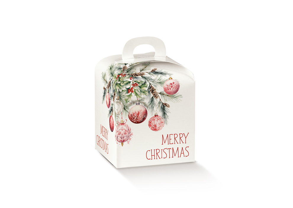 Giftbox merry xmas