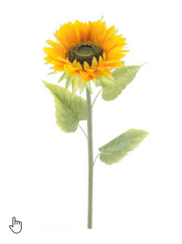 Sunflower spray
