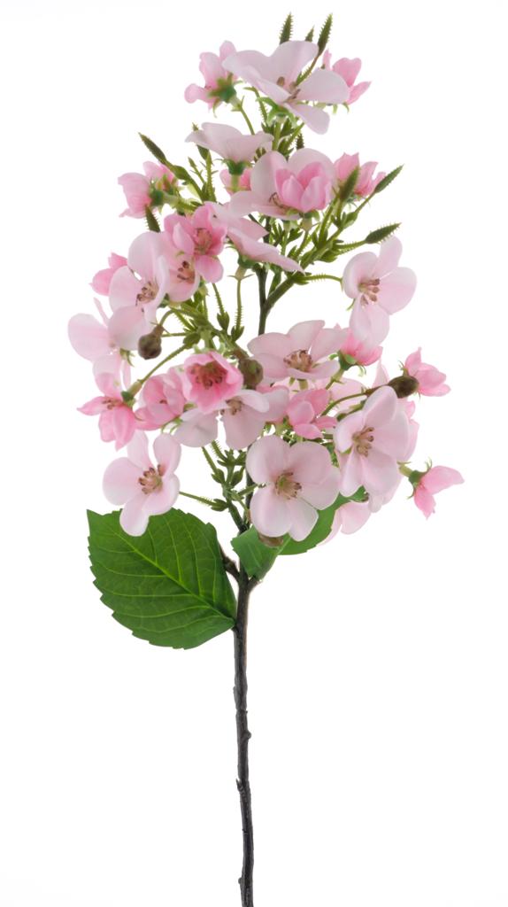 New oak leaf spray