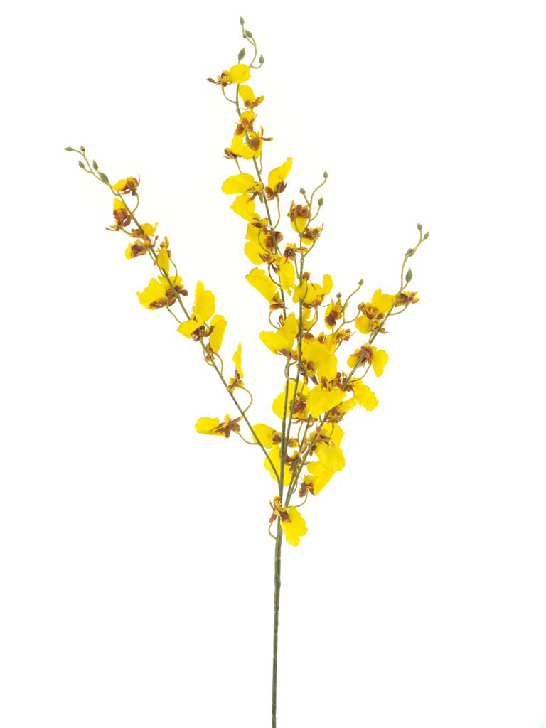 Orchid spray