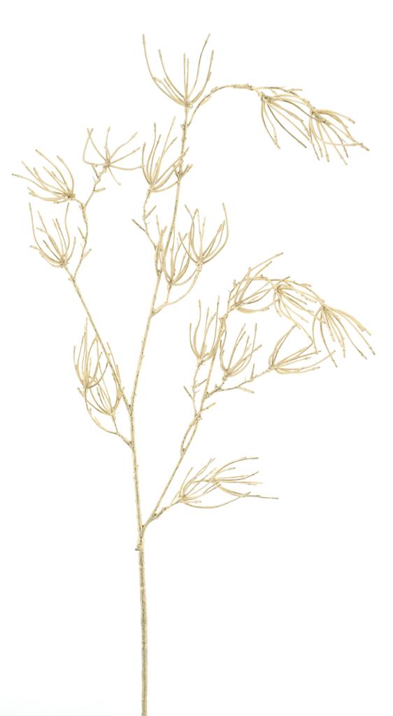 Wild twig spray