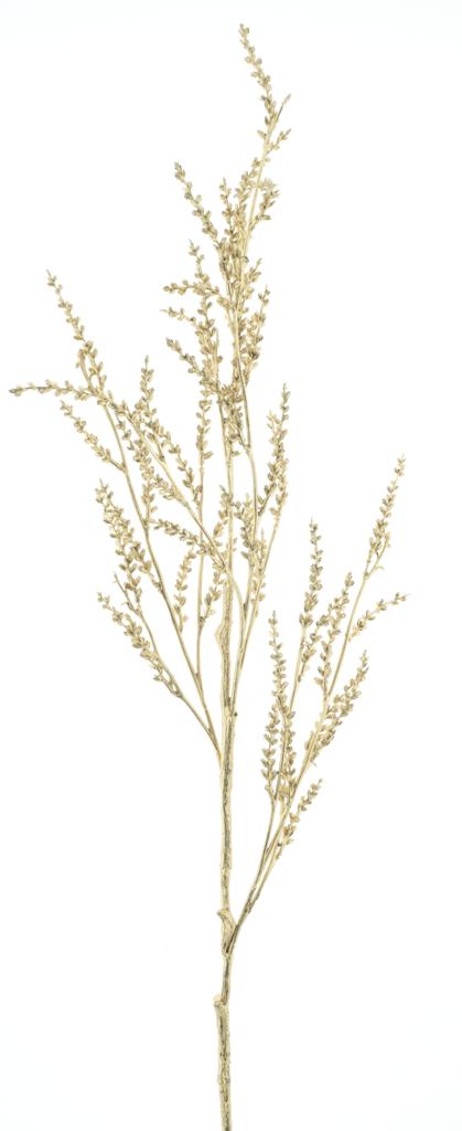 Astilbe spray
