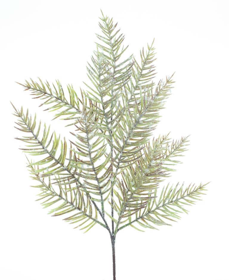 Needle pine spray