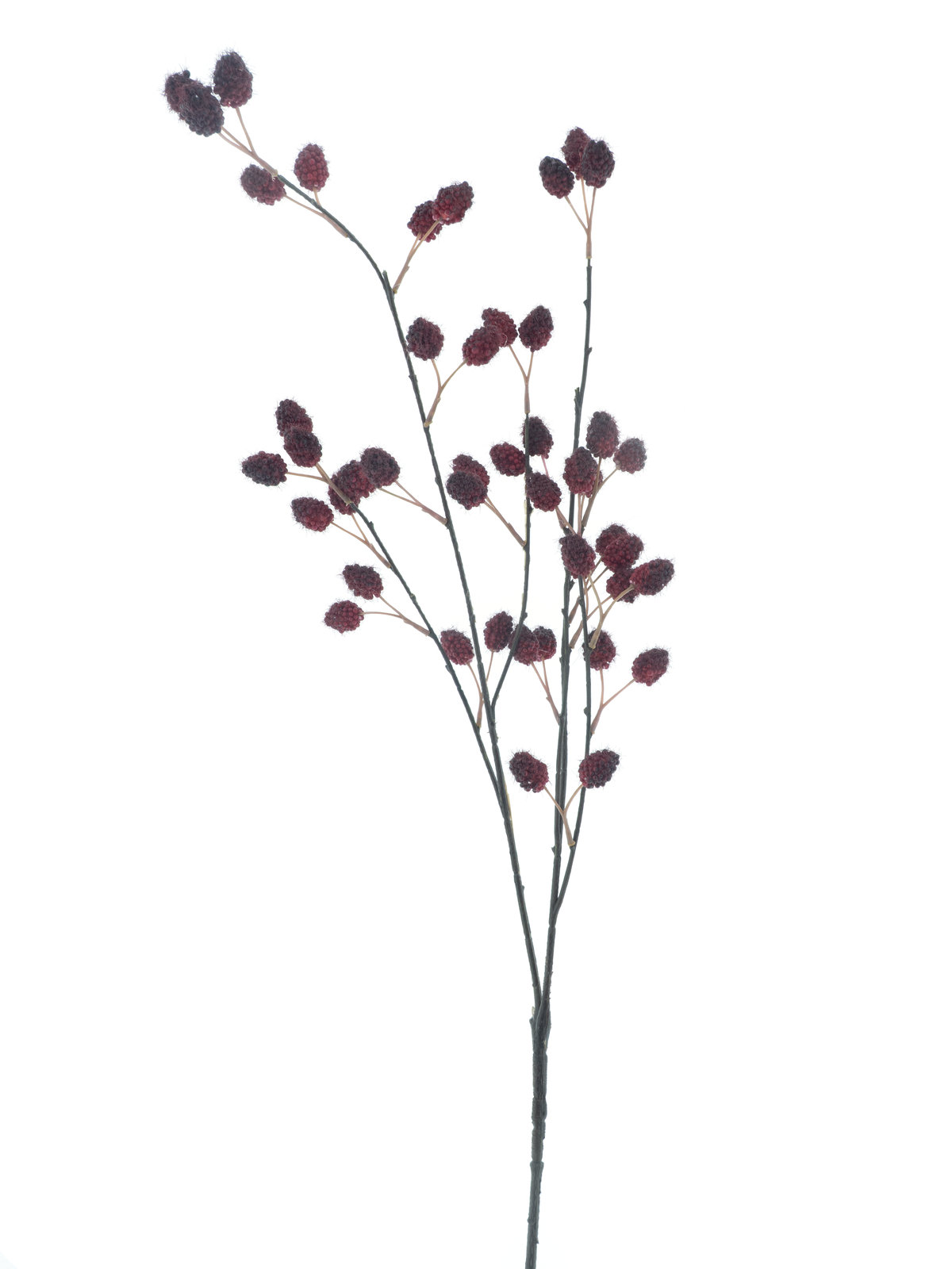 Rasberry spray