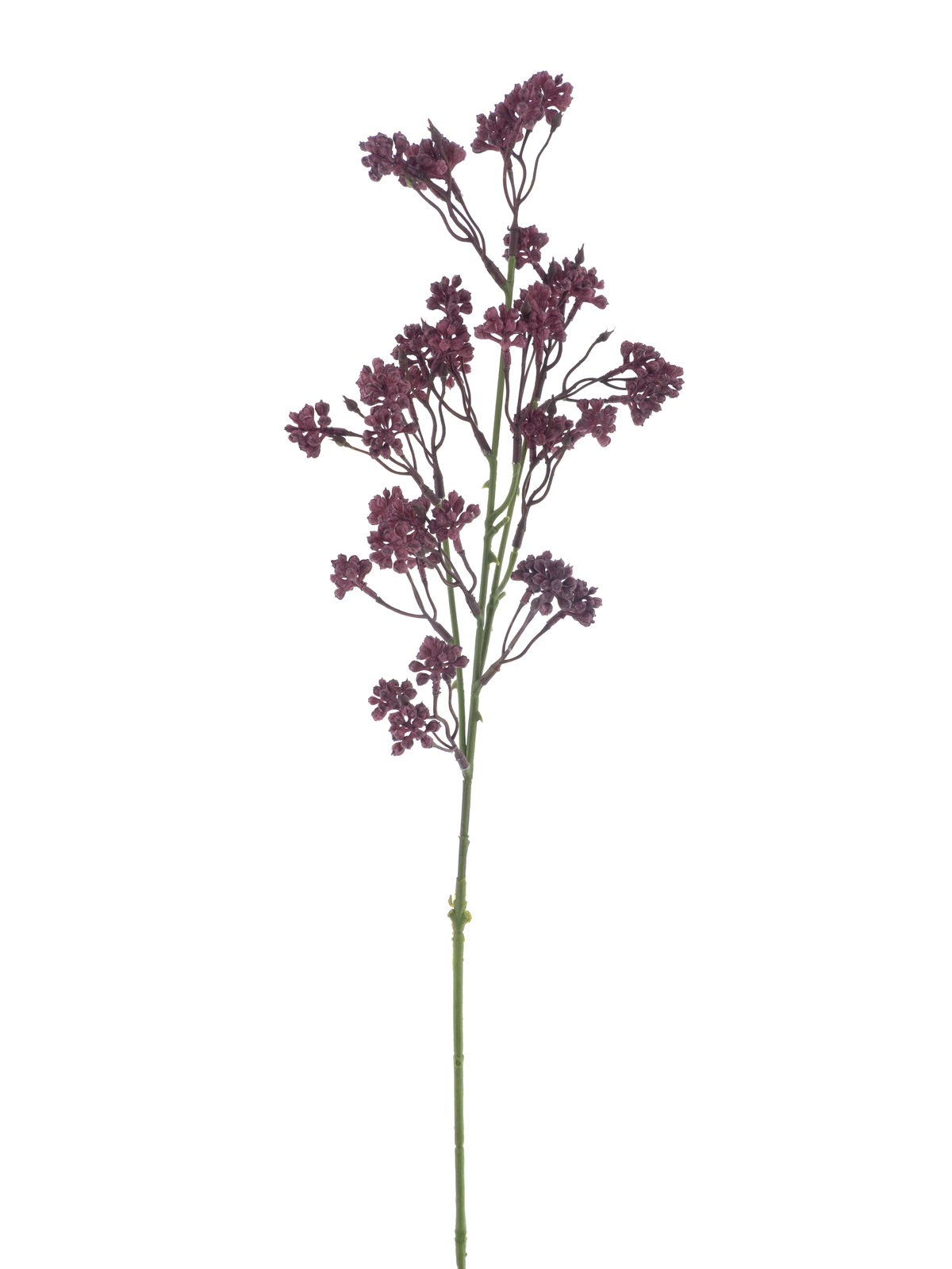 Mulberry spray