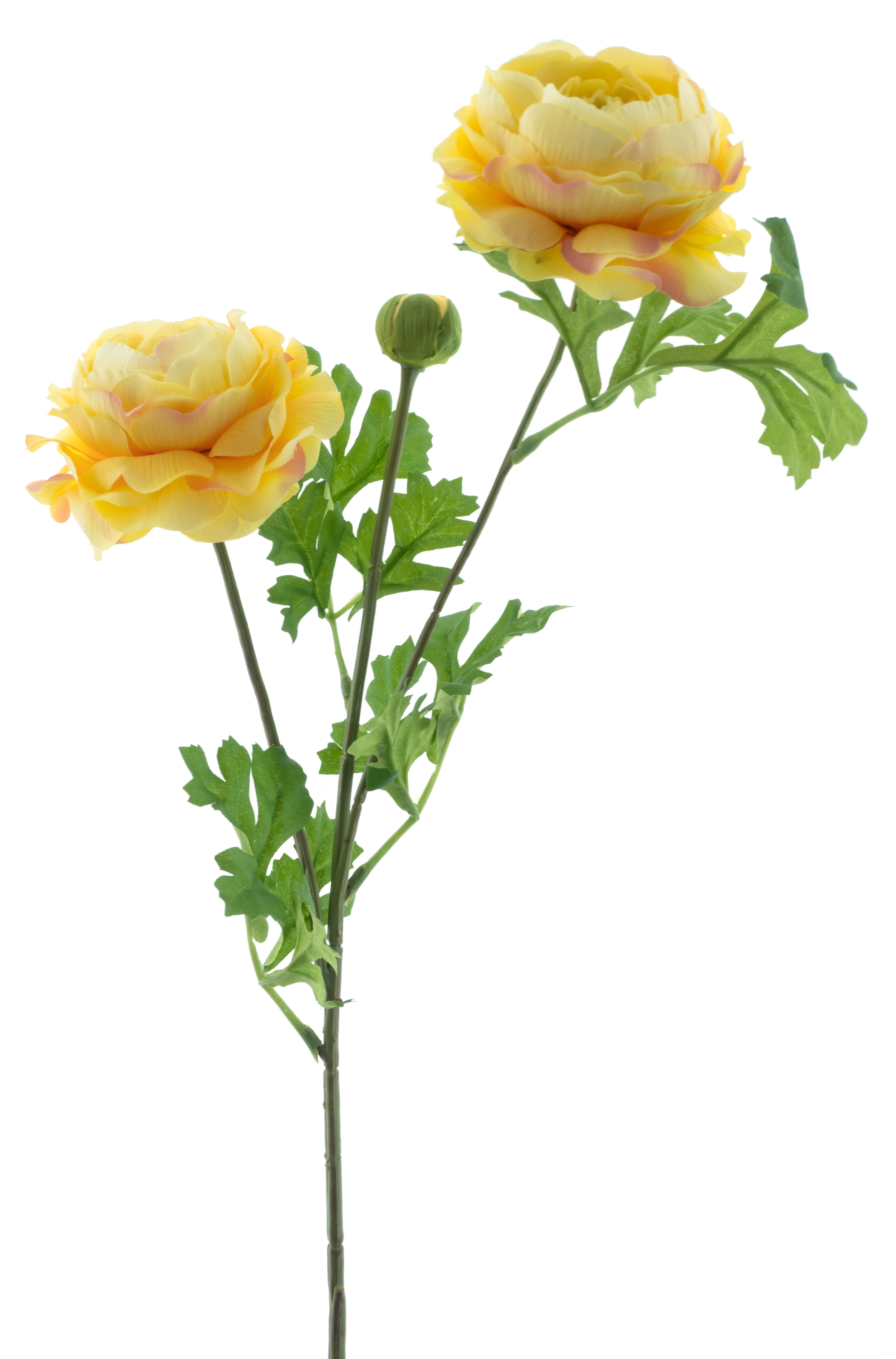 Ranunculus spray