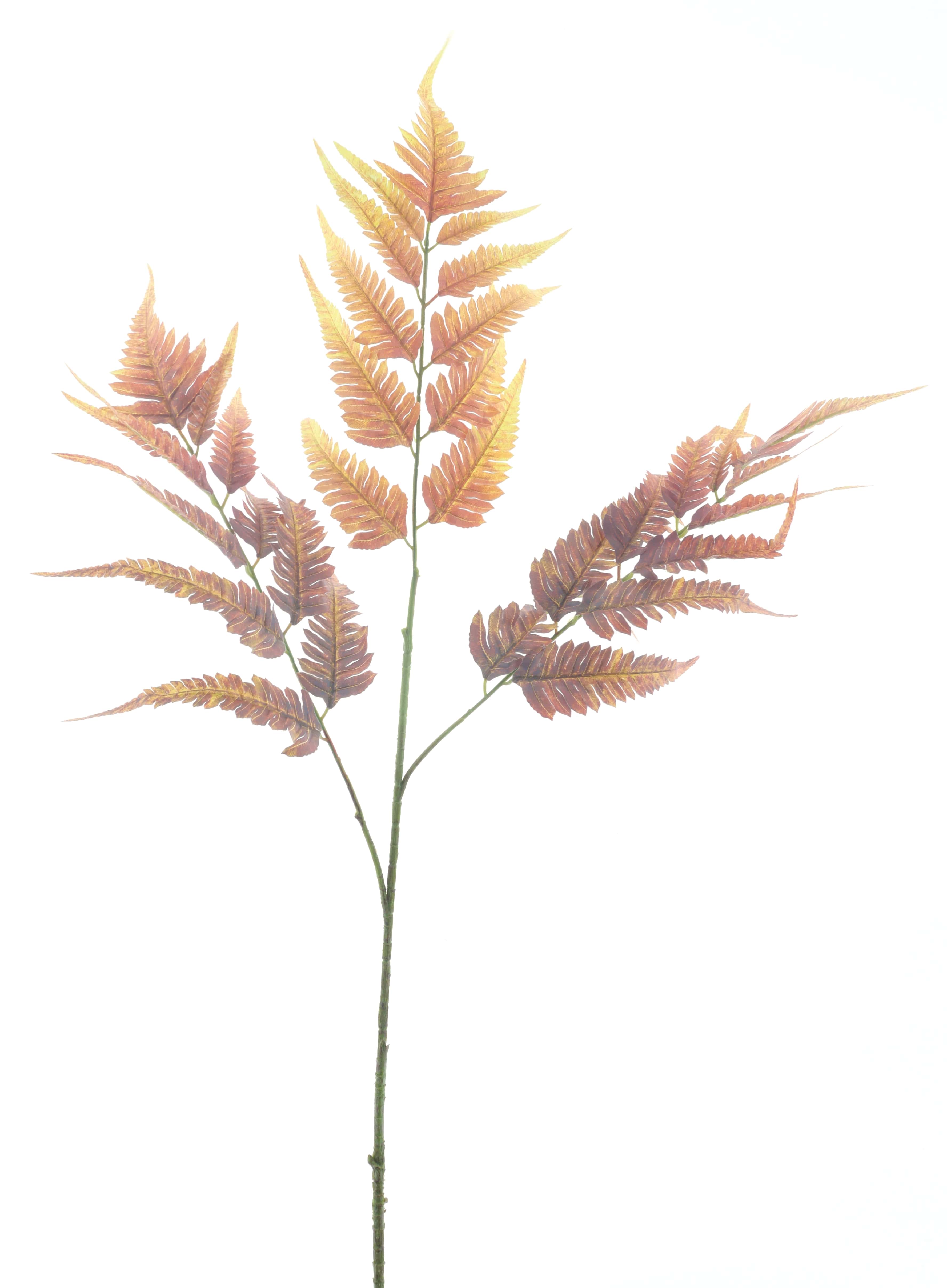 Leather fern spray