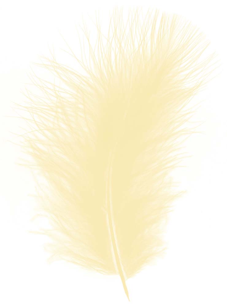 Feather marabou