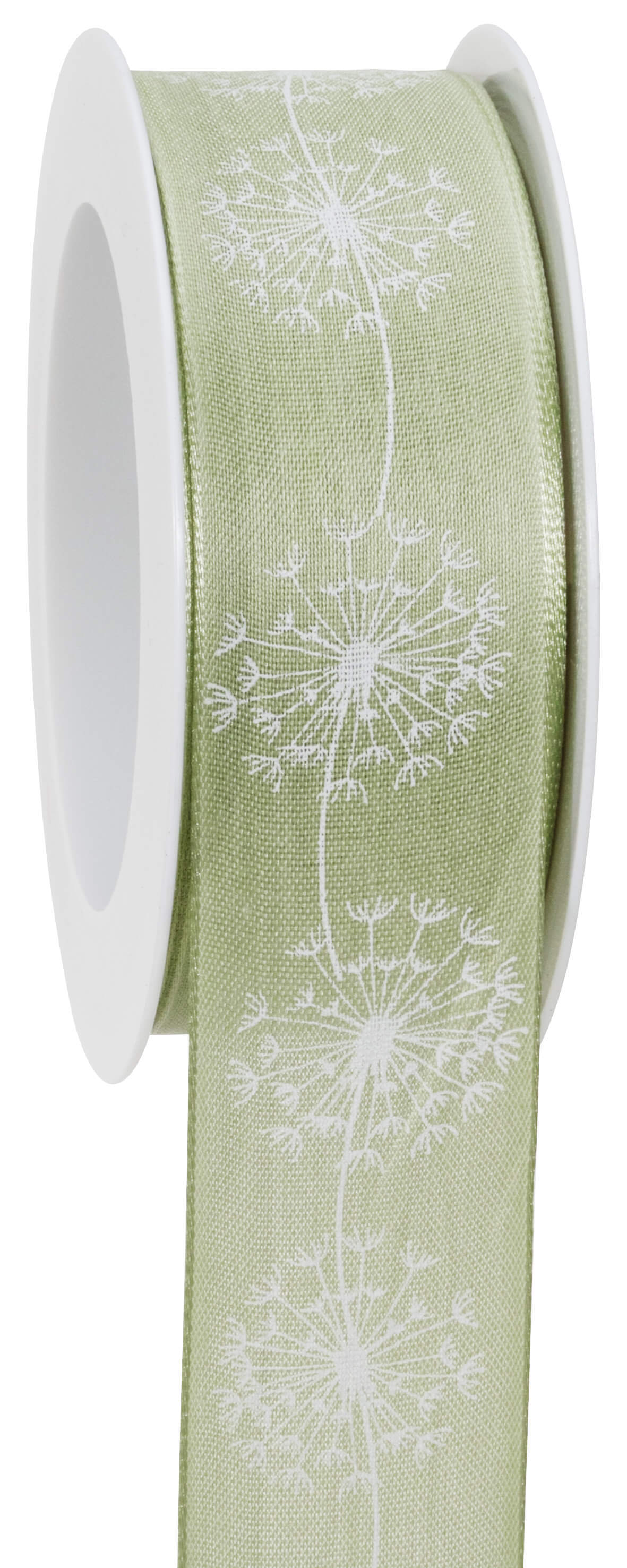 Ribbon dandelion
