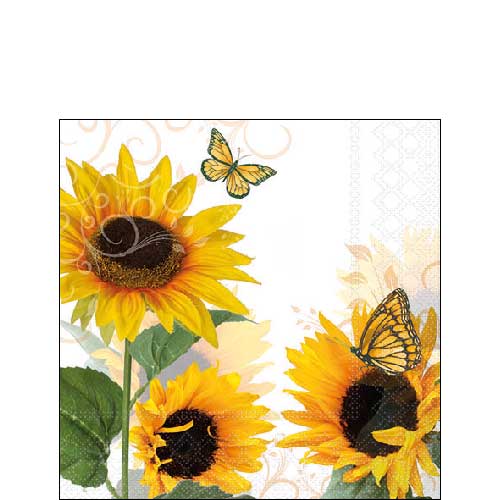 Sunny butterfly