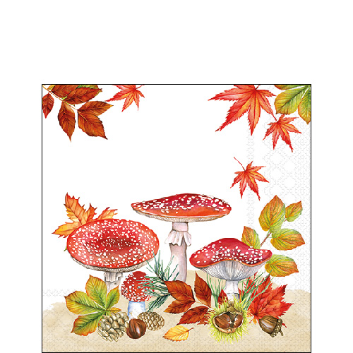 Fly agaric