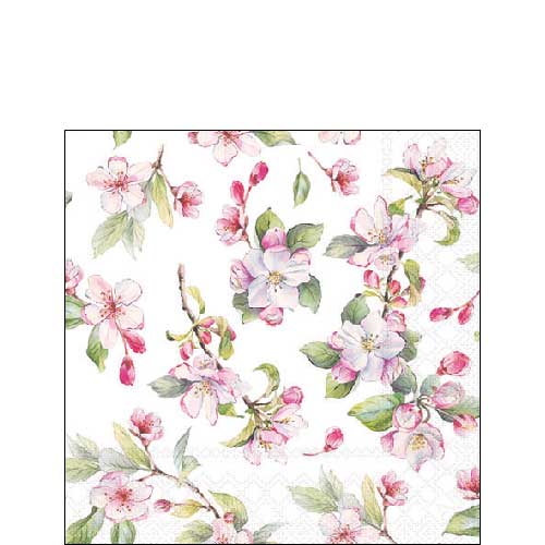 Spring blossem