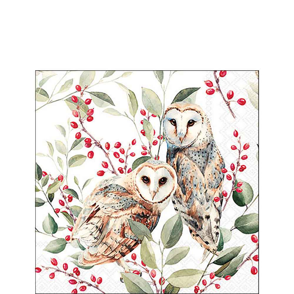 Barn owl couple