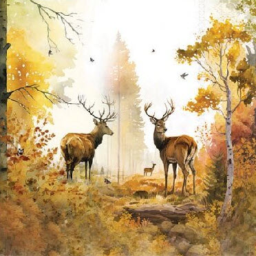 Autumn forest