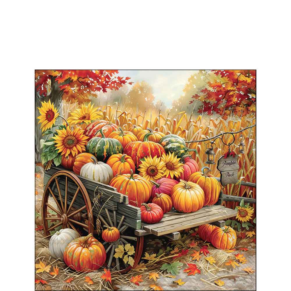 Pumpkin harvest