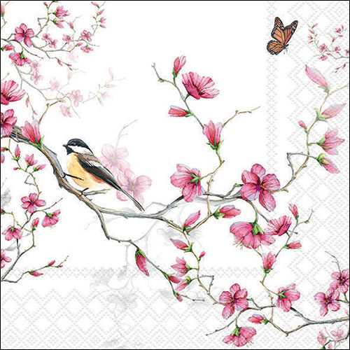 Bird&blossom white
