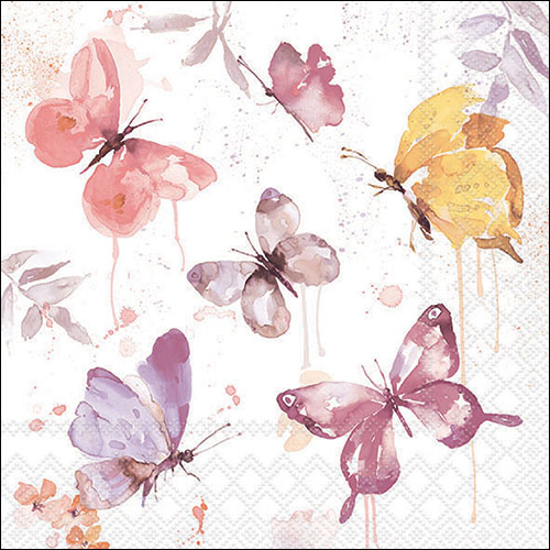 Butterfly coll rose