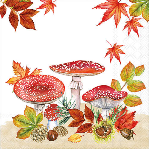 Fly agaric