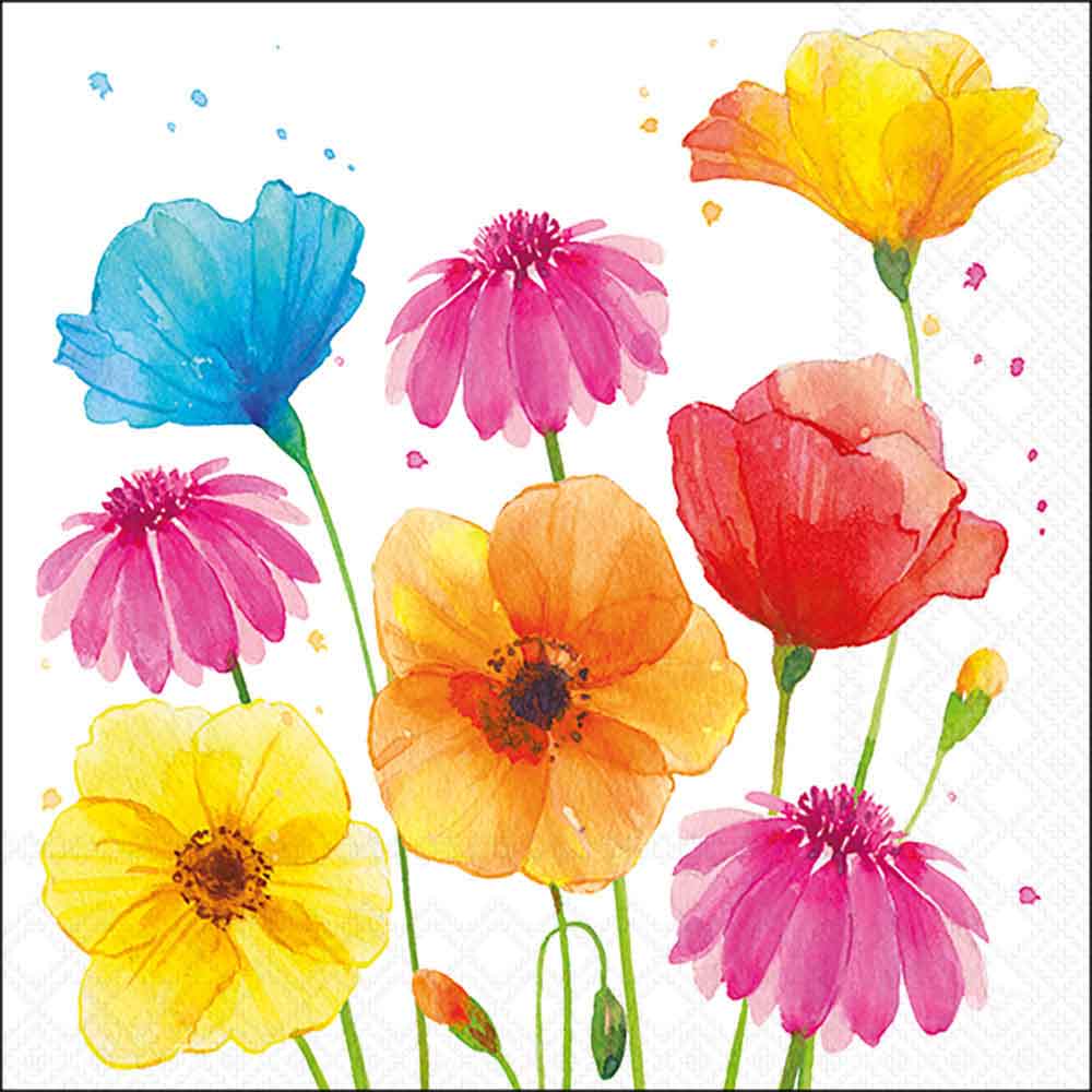 Colourful summer