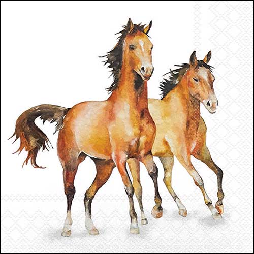 Wild horses