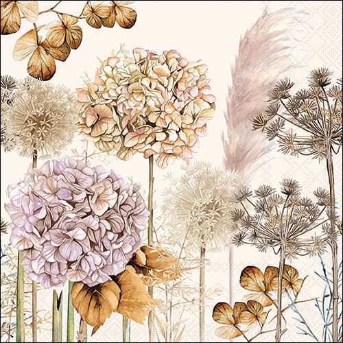 Dried flowers