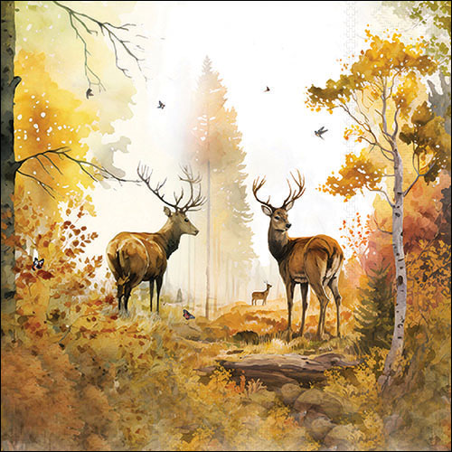 Autum forest