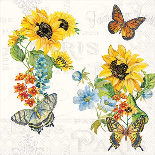 Charming sunflowers