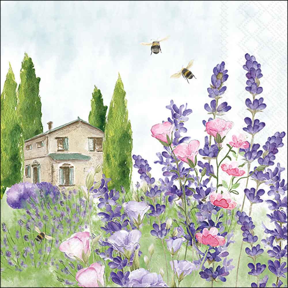 Lavender meadow