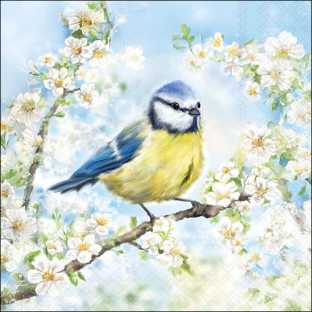 Blossom time