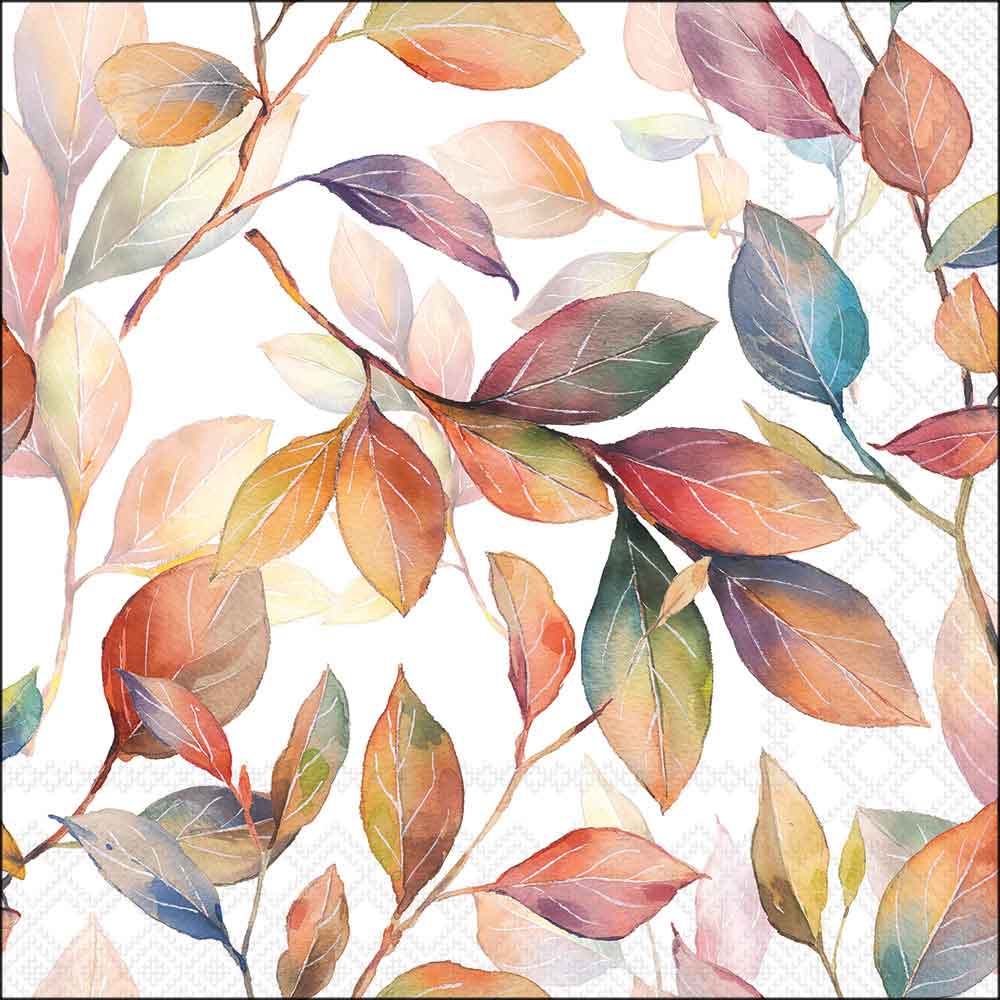 Colourful leaves