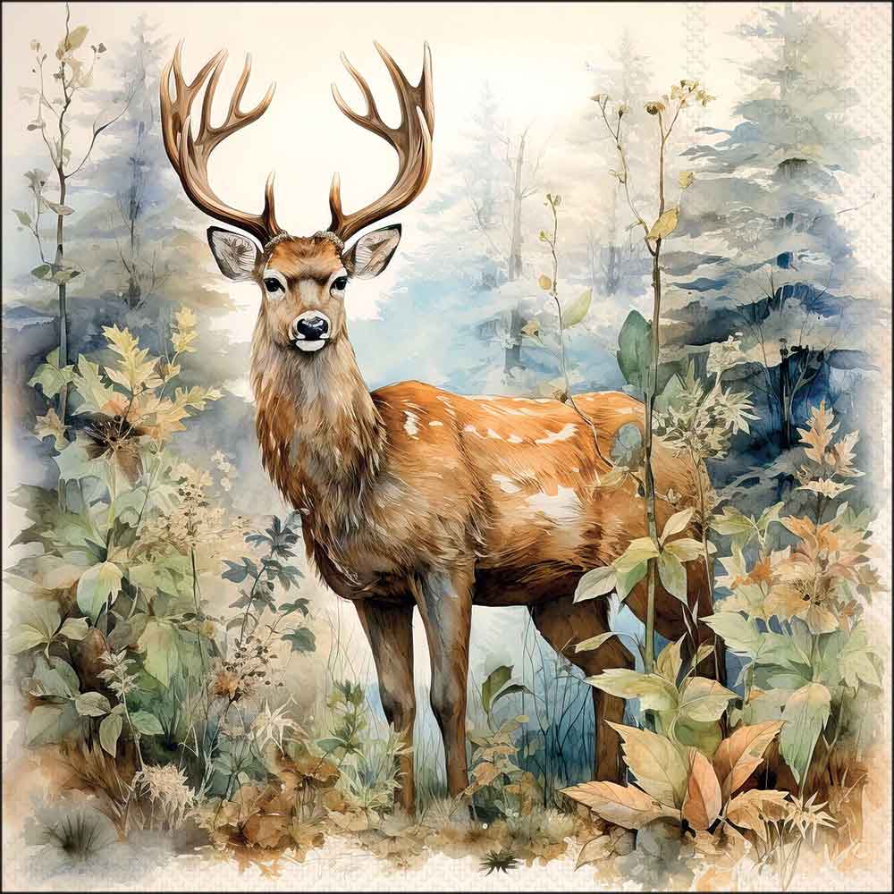 Deer in the woods