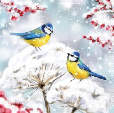 Birds in the snow