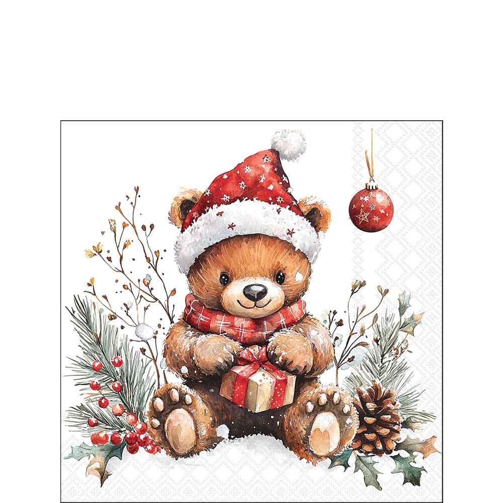 Teddy's gift
