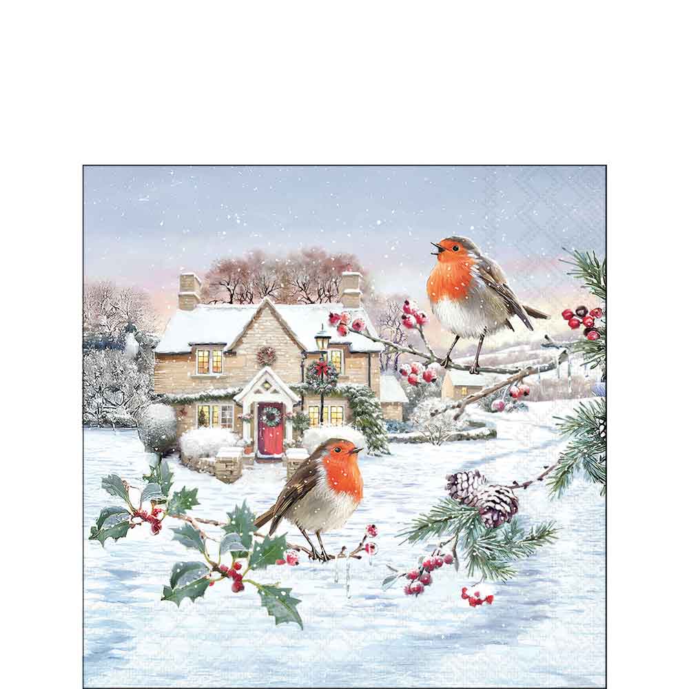 Birdy village