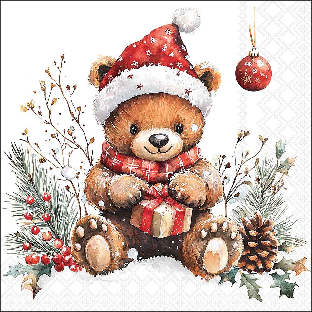 Teddy's gift