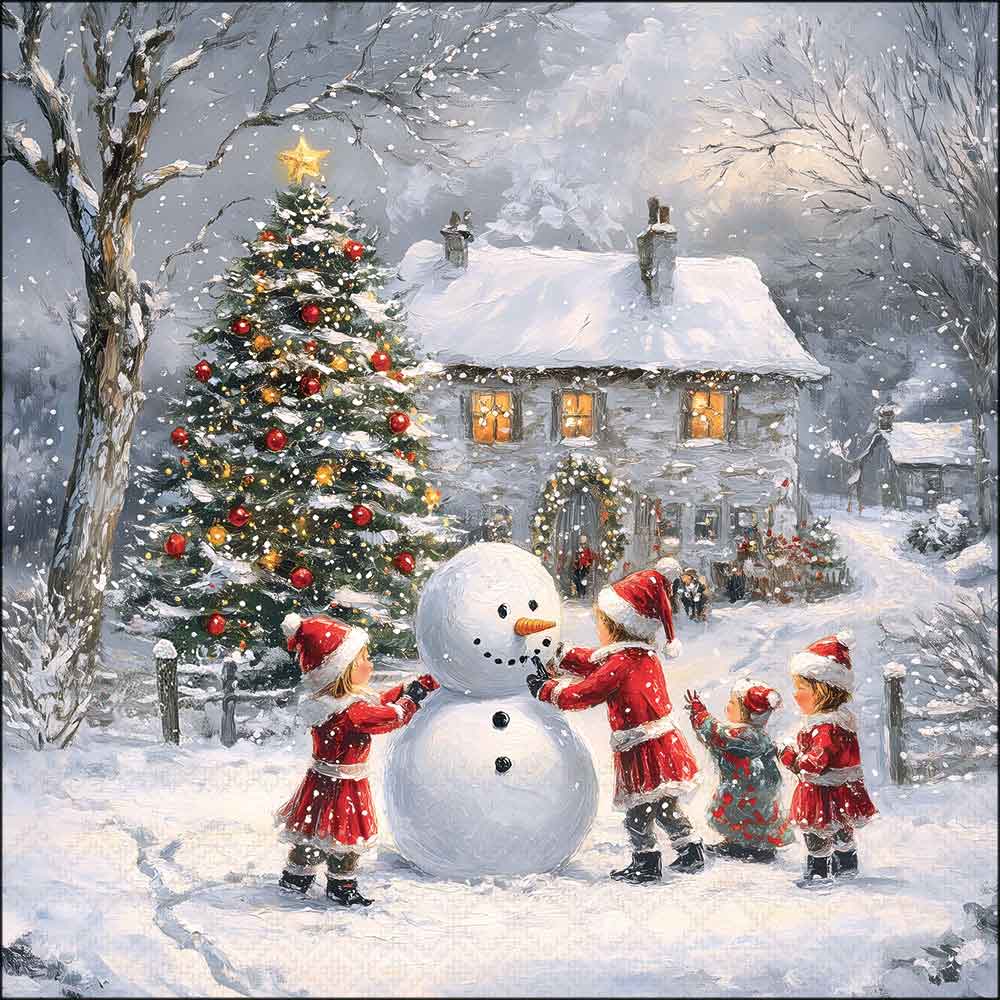 Winter playtime