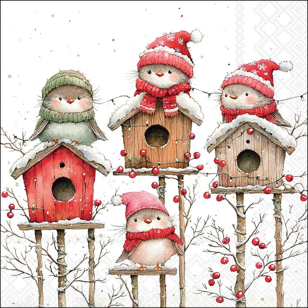 Birdhouse quartet