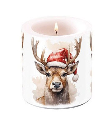 Deer with santa hat