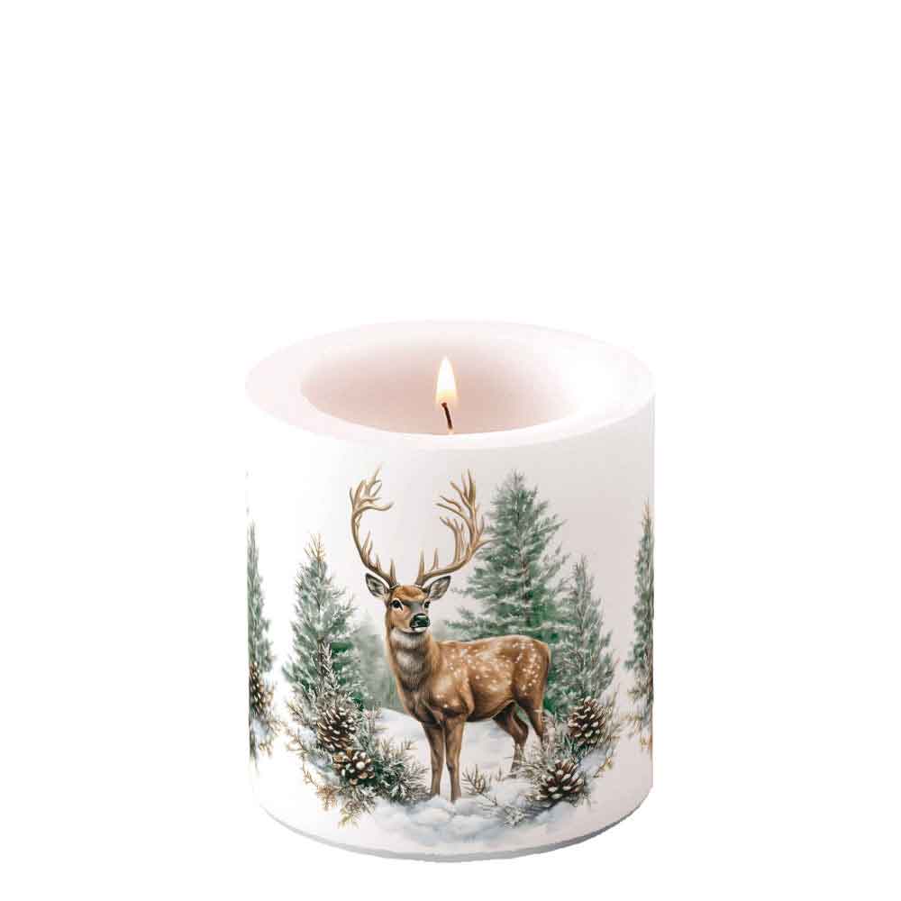 Winter stag