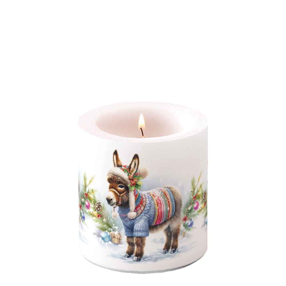 Wooley donkey